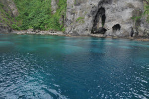 DSC_3892.jpg