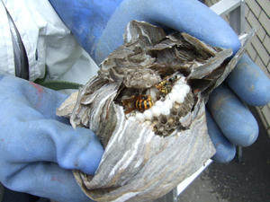 DSCF2557.JPG
