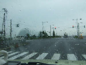 DSCF2610.JPG