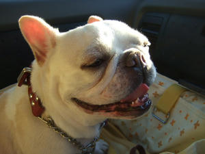 DSCF2638.JPG