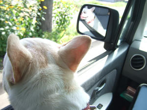 DSCF2823.JPG