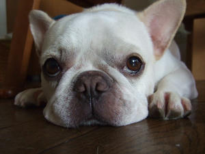 DSCF2833.JPG