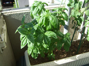 DSCF2901.JPG