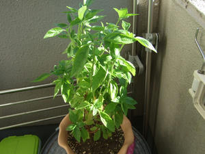 DSCF2902.JPG