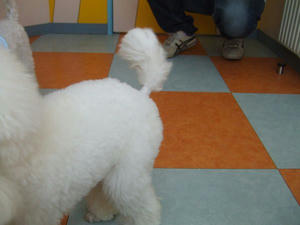 DSCF8413.JPG