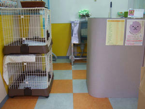 DSCF3060.jpg