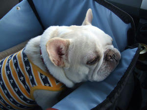 DSCF0643.jpg