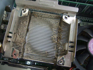 DSCF0847.jpg