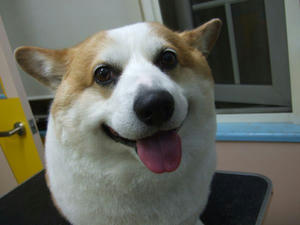 DSCF1057.jpg