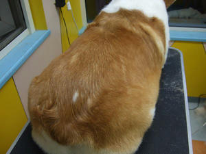 DSCF1059.jpg