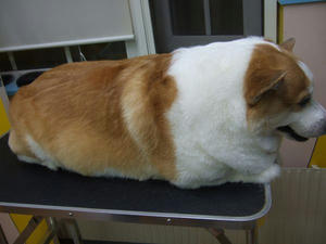 DSCF1061.jpg