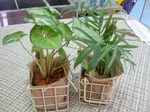 DSCF1084.jpg