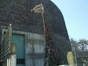 DSCF8616.jpg