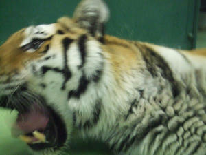 DSCF8636.jpg
