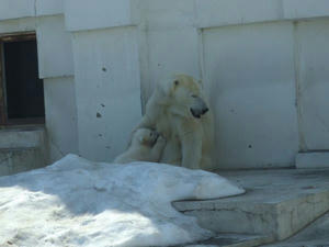 DSCF8648.jpg