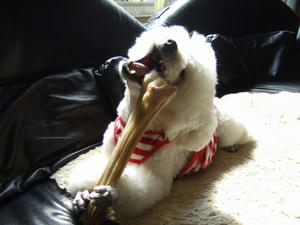 DSCF1848.jpg
