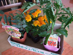 DSCF1873.jpg