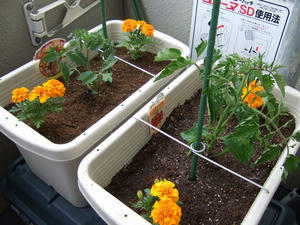 DSCF1875.jpg