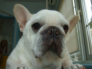 DSCF2072.jpg