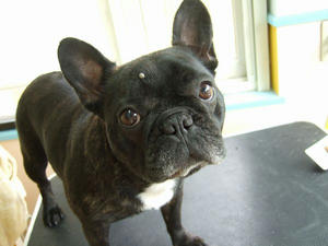 DSCF2078.jpg