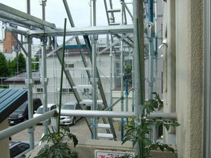 DSCF2157.jpg