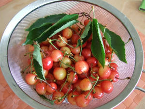 DSCF2225.jpg