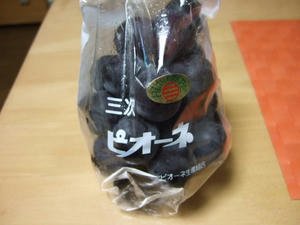 DSCF2599.jpg