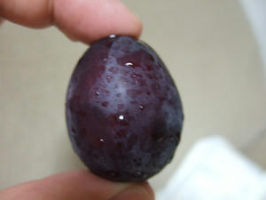 DSCF2601.jpg