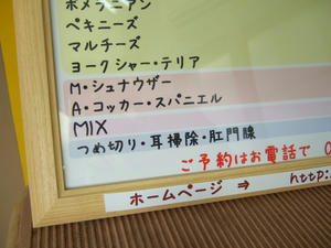 DSCF2643.jpg