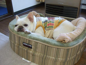DSCF3049.jpg
