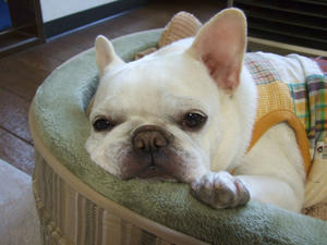 DSCF3050.jpg