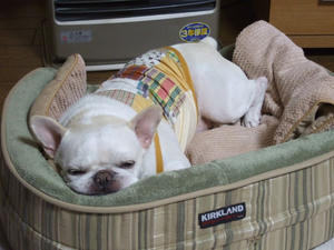DSCF3068.jpg