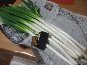 DSCF3260.jpg