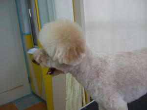 DSCF3504.jpg