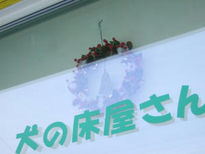 DSCF3521.jpg
