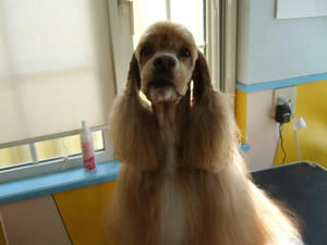 DSCF2837.jpg