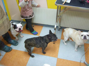 DSCF3602.jpg