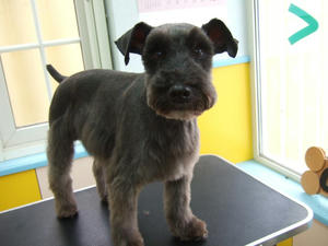 DSCF3713.jpg