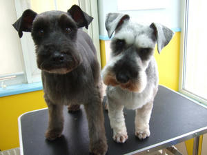 DSCF3716.jpg