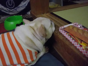 IMGP0058.JPG