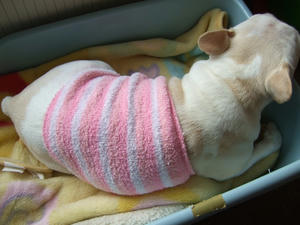 DSCF3880.jpg