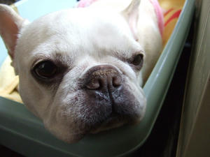 DSCF3883.jpg