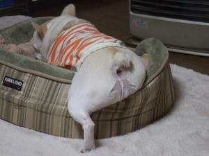 DSCF0845.jpg