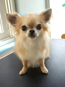 DSCF0909.jpg