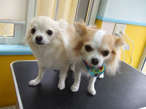 DSCF0926.jpg