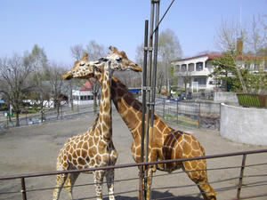 IMGP0173.jpg