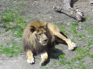IMGP0141.jpg