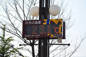 DSC_7137.jpg