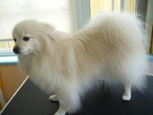 DSCF1135.jpg