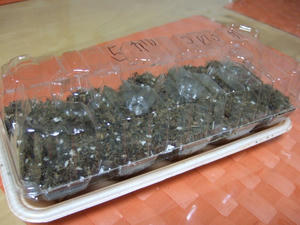 DSCF1081.jpg